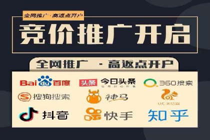 案例分享：百度竞价广告投放策略与效果